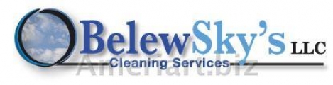 <p>A hood-cleaning Service</p>